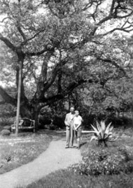 Vater und Sohn im Garten